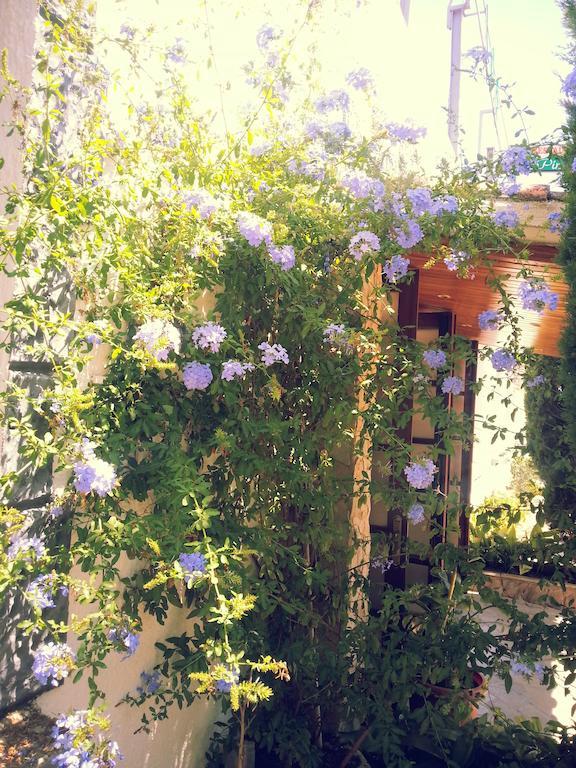 Hostal Los Pinares Lloret de Mar Exteriér fotografie