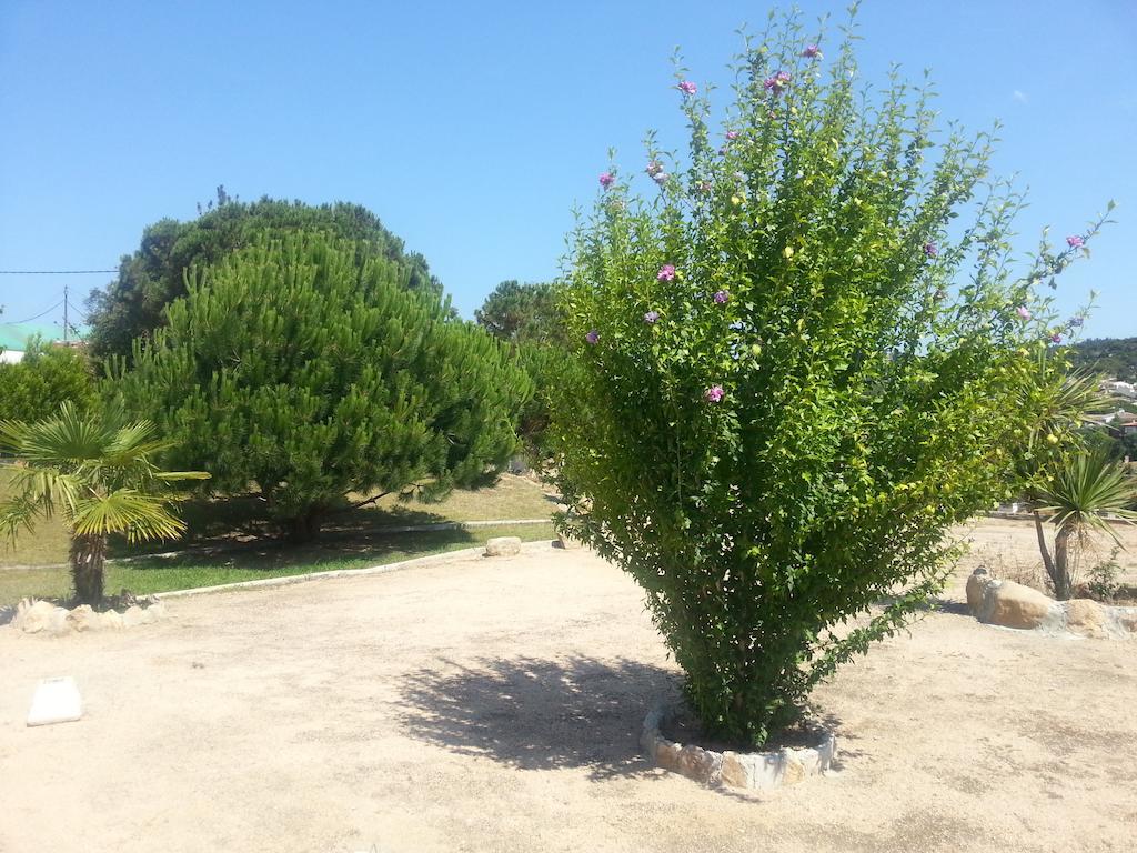 Hostal Los Pinares Lloret de Mar Exteriér fotografie